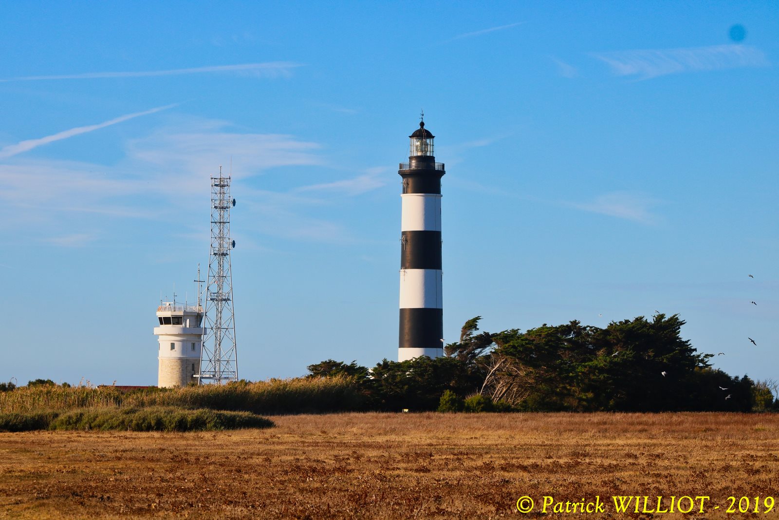 Pointe de Chassiron (Oleron)